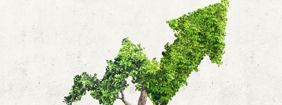 ESG_Advisory-01_edited.jpg