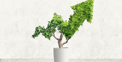ESG Advisory